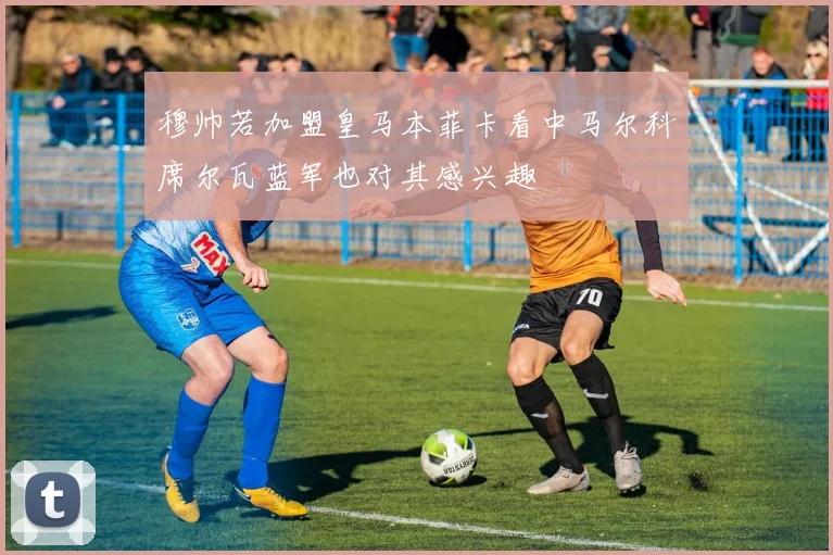 穆帅若加盟皇马本菲卡看中马尔科席尔瓦蓝军也对其感兴趣